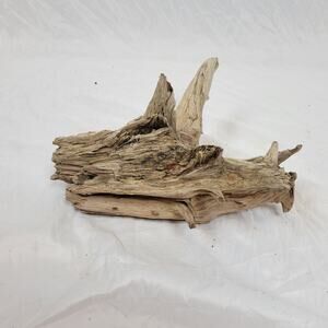 Ohio River Driftwood 13"x12.5"x7.5"